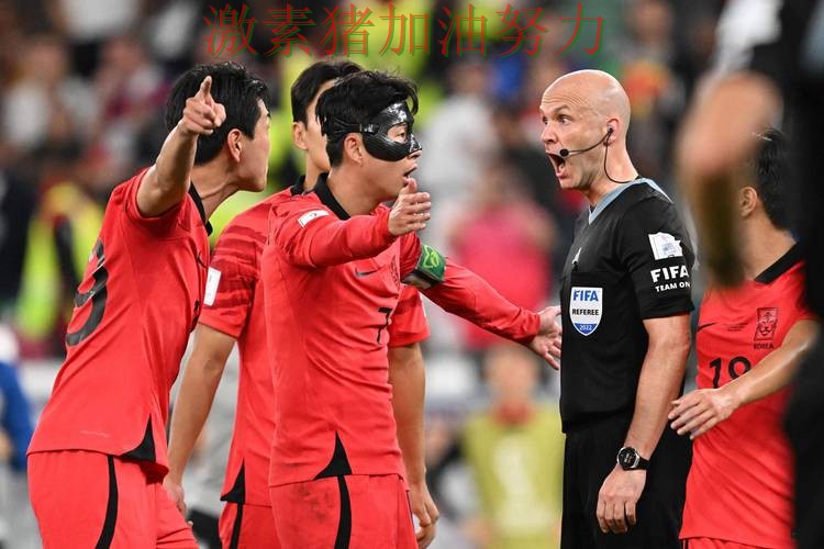 韩国防守稳固让球迷期待值迅速拉满